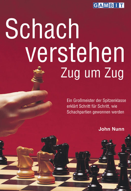 Schach_verstehen_Zug_um_Zug