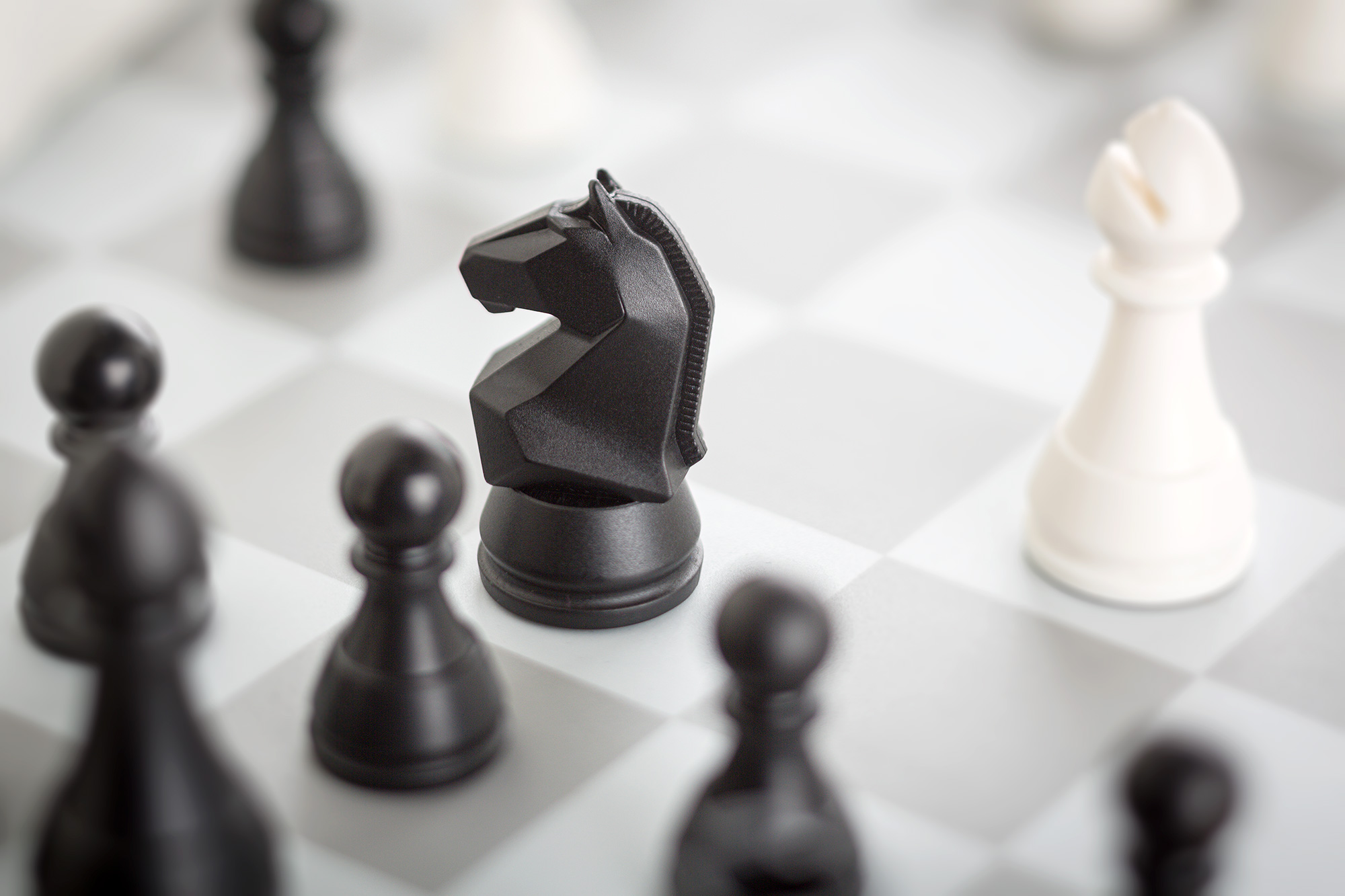 DGT-Pegasus-Knight-close-up